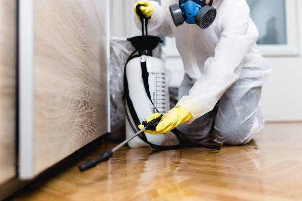 Best Exterminator Services  in Elephant Butte, NM