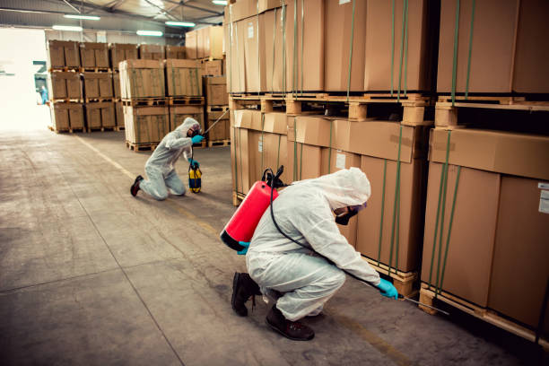 Best Commercial Pest Control Services  in Elephant Butte, NM
