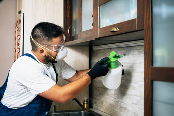 Best Residential Pest Control  in Elephant Butte, NM