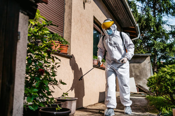 Best Pest Prevention Services  in Elephant Butte, NM