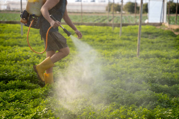 Professional Pest Control in Elephant Butte, NM