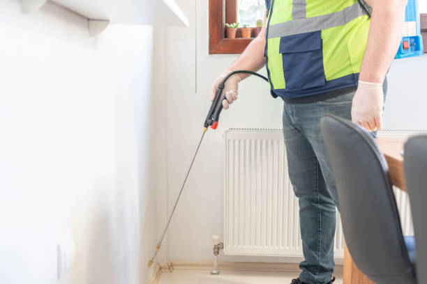 Best Pest Removal Services  in Elephant Butte, NM