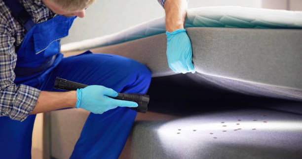Best Emergency Pest Control  in Elephant Butte, NM