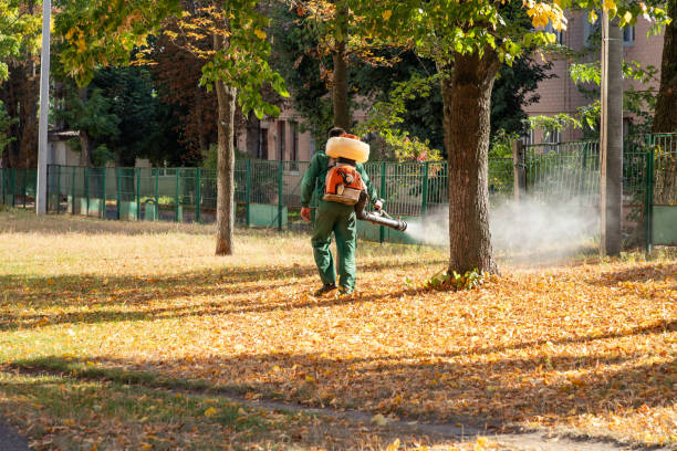 Best Pest Prevention Services  in Elephant Butte, NM