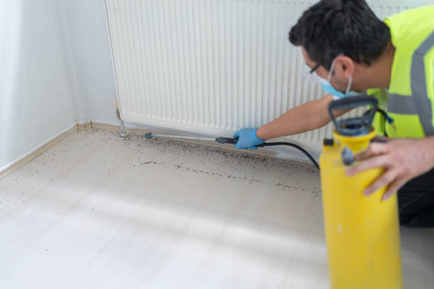 Best Wasp Removal Services  in Elephant Butte, NM